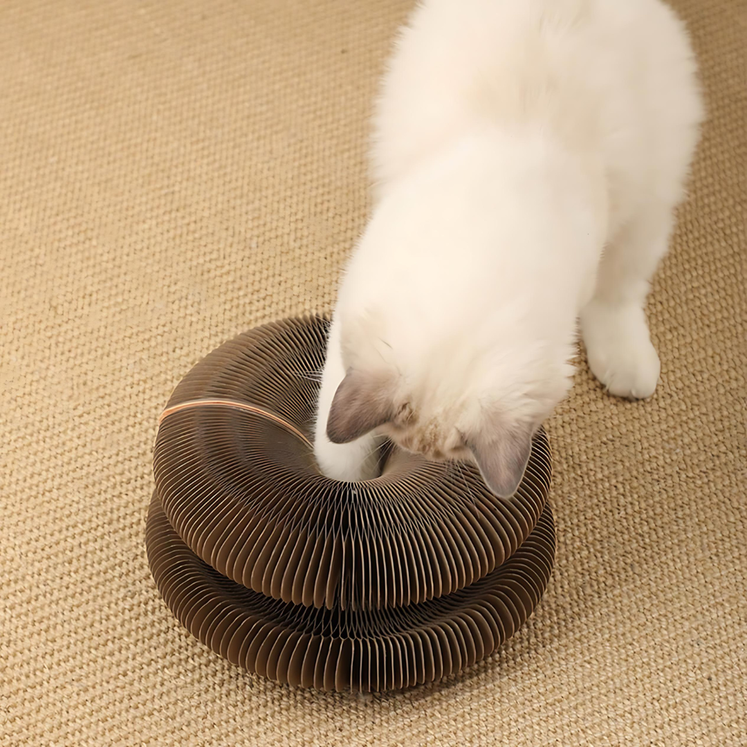 Kitty Accordion Cat Scratcher