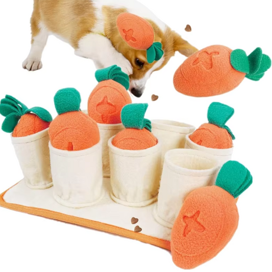 Dog Carrot Snuffle Mat