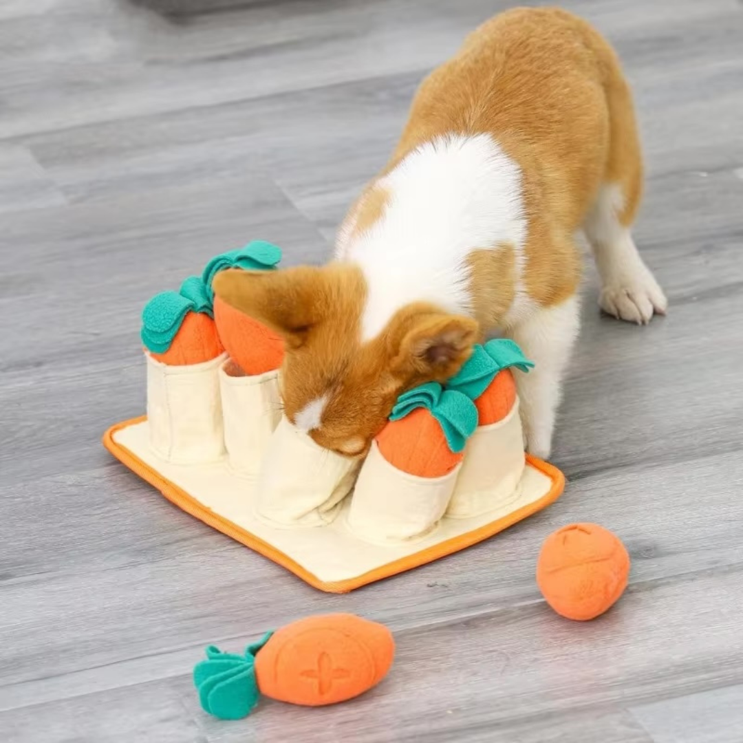 Dog Carrot Snuffle Mat