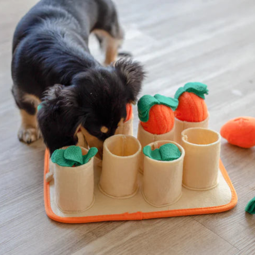 Dog Carrot Snuffle Mat